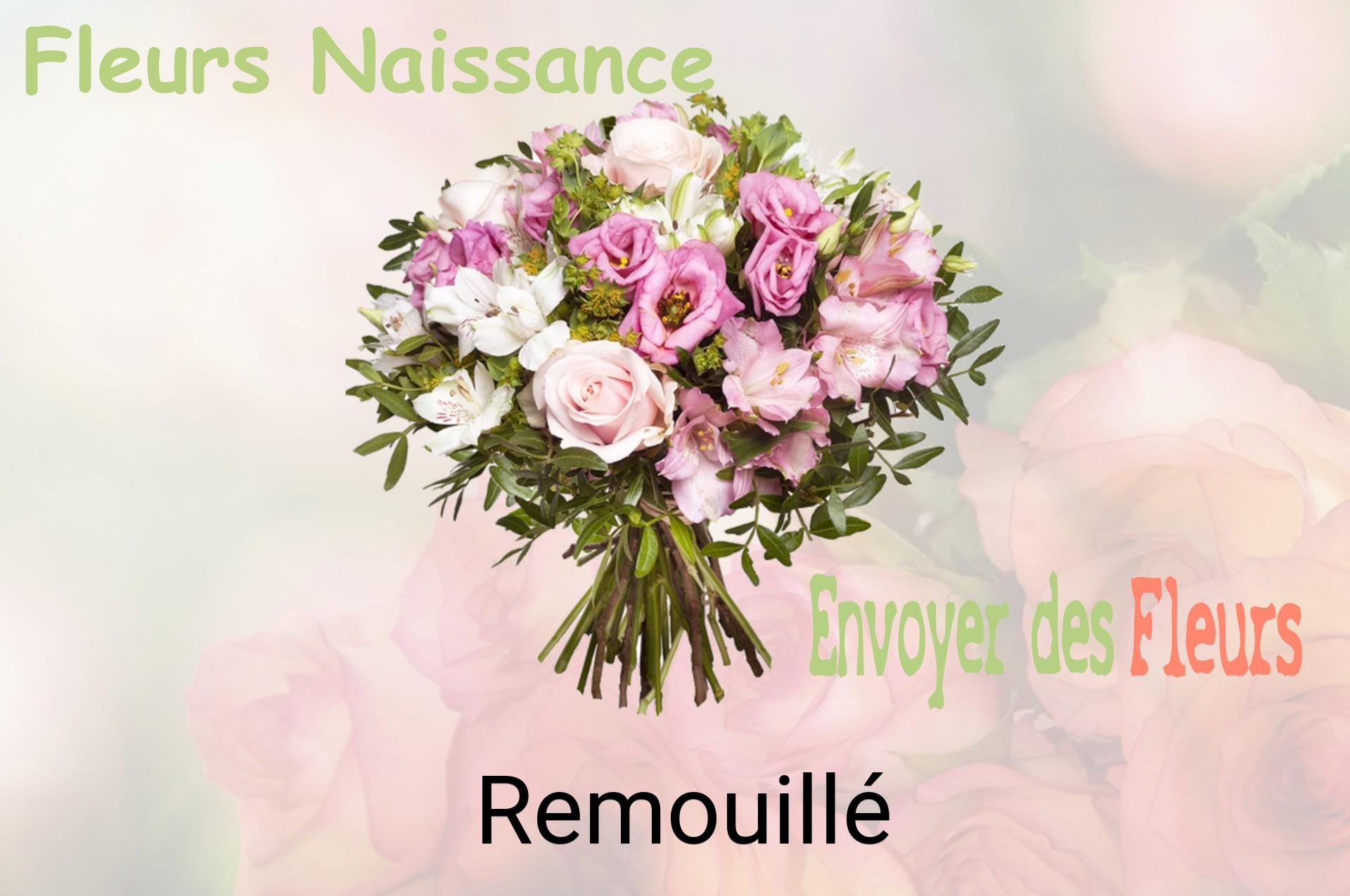 Bouquet de fleurs de naissance livré à Remouillé